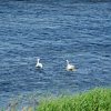 Tour 12: Darß - 1